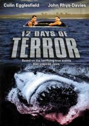 12 дней страха (12 Days of Terror) (2003)