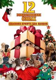 12 рождественских собак: Спасение приюта для щенков (12 Dogs of Christmas II: Great Puppy Rescue) 2012