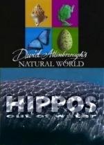 BBC: Наедине с природой: Бегемоты без воды (2004)