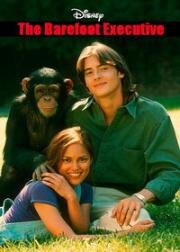 Босоногий директор (Босой руководитель) (The Barefoot Executive) (1995)