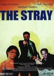 Бродяга (The Stray) 2000