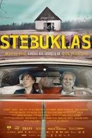 Чудо (Stebuklas) (2017)