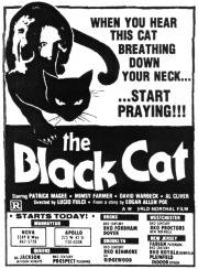 Чёрный кот (The Black Cat) (1981)