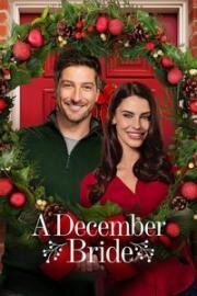 Декабрьская невеста (A December Bride) (2016)