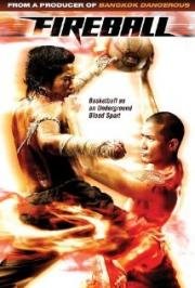 Файрбол (Fireball) (2009)