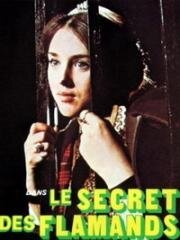 Фламандские секреты (Тайна фламандцев) (Le secret des Flamands) (1974)