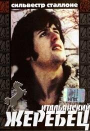 Итальянский жеребец (Жеребец на вечеринке у Китти) (Italian Stallion) (1970)