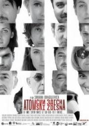 Из грязи – в князи (Atomski zdesna) (2014)