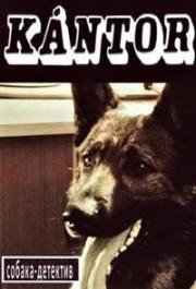 Кантор - собака-детектив (Kantor) 1976