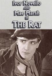 Крыса (The Rat) 1925