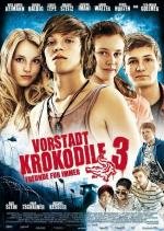 Деревенские крокодилы 3 (Крокодилы из пригорода 3) (Vorstadtkrokodile 3) (2011)