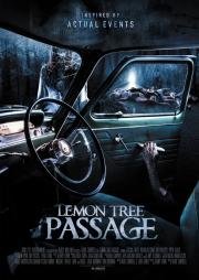 Последний поворот (Lemon Tree Passage) (2015)