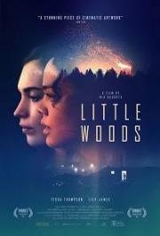 Лесок (Little Woods) 2018