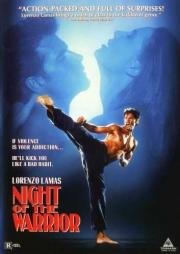 Ночь бойца (Night of the Warrior) (1991)