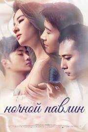 Ночной Павлин (Le Paon de Nuit) (2015)