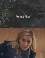 Отличный план (Perfect Plan) (2010)