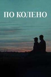 Пo кoлeнo (Knee High) 2025