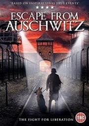 Побег из Освенцима (The Escape from Auschwitz) 2020