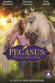 Пони с перебитым крылом (Pony with a Broken Wing) (2019)