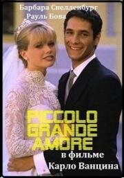 Прекрасная принцесса (Красотка) (Piccolo grande amore) (1993)