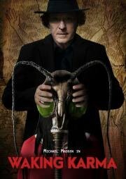 Пробуждение Кармы (Waking Karma) 2023