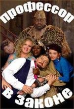 Профессор в законе 2007