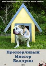 Прожорливый мистер Болдуин (Feeding Mr. Baldwin) 2013