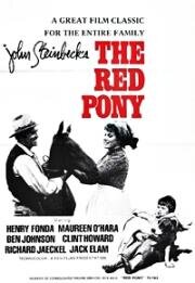 Рыжий пони (The Red Pony)