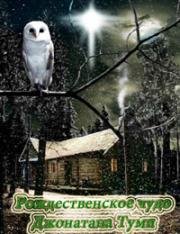 Рождественское чудо Джонатана Туми (The Christmas Miracle of Jonathan Toomey) (2007)