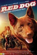 Рыжий пес (Red Dog) (2011)
