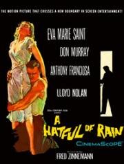 Шляпа с дождевой водой (Шляпа, полная дождя) (A Hatful of Rain) (1957)