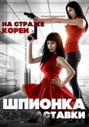 Шпионка на полставки (Part Time Spy (Bijeongkyujik teuksuyowon)) (2017)