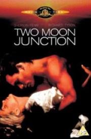 Слияние двух лун (Two Moon Junction) (1988)