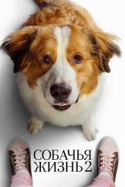 Собачья жизнь 2 (A Dog's Journey) 2019