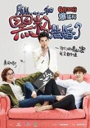 Так я женился на антифанатке (2016)