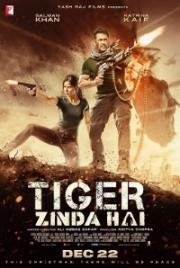 Тигр жив (Tiger Zinda Hai)