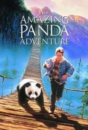 Удивительное приключение панды (The Amazing Panda Adventure) 1995