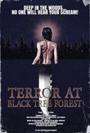 Ужас в тёмном лесу (Terror at Black Tree Forest) (2021)
