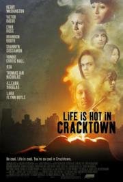 Веселая жизнь в Крэктауне (Life Is Hot in Cracktown) (2009)