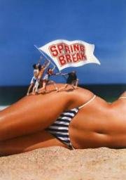 Весенние каникулы (Spring Break) (1983)