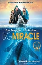 Все любят китов (Big Miracle) 2012