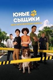 Юные сыщики. Дело об исчезнувших щенках (Pet Investigators) (2025)