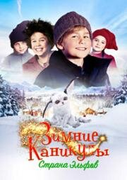 Зимние каникулы: Страна эльфов (Familien Jul i nissernes land) (2016)