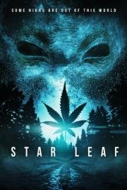 Звездная травка (Star Leaf ) (2015)