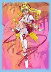 Неуловимая воровка Жанна (Kamikaze Kaitou Jeanne) 1999