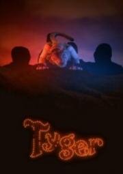 Тигр (2006)